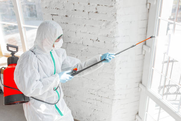 Best Environmental Consulting for Mold Prevention  in Woodville, MS